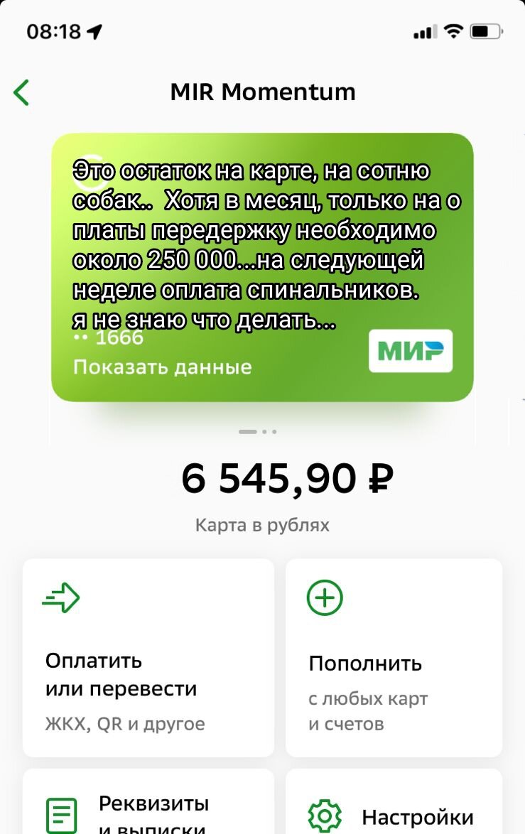 Волгоград 🆘 Люди🆘 Пожалуйста помогите нам🙏💔   
Сотня собак осталась просто без помощи! На карте последние 6000... А расходов просто куча. На следующей неделе оплата спинальников.. 20 000 волчок, 17 000 марта, 11 000 Лакки... 
У нас подросли щеночки, их нужно стерилизовать, А стерилизация сейчас от 4000....огромные долги по передержкам за давно спасённых хвостиков. Так и не погашеный до конца долг в клинике вет Волга... Мы стараемся держаться из последних сил, но получается плохо если честно💔
Пожалуйста не бросайте хвостиков! 
Даже самый маленький вклад это огромная помощь!!! 
Карта сб 2202 2024 6687 1666
Прикреплена к номеру 89178312475 (НЕ ДЛЯ ЗВОНКОВ!) на имя
Елена Леонидовна Т.
💳 Карта Тинькофф 5213243915883746 на имя Елена Леонидовна Т.
💳 Карта ВТБ  2200 2404 4782 2665 на имя Елена Леонидовна Т
💰Киви-кошелек 8 960 892 17 31
📱Голодный номер 8 960 892 17 31
☎️ 8 960 892 17 31
По поводу переводов из-за границы,  работает корона пей. Пишите в личку
https://vk.com/club197011667
Фин отчёт в обсуждениях