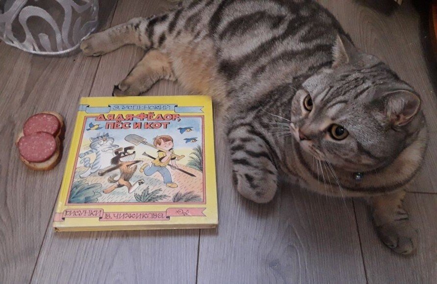 фото авторов канала.