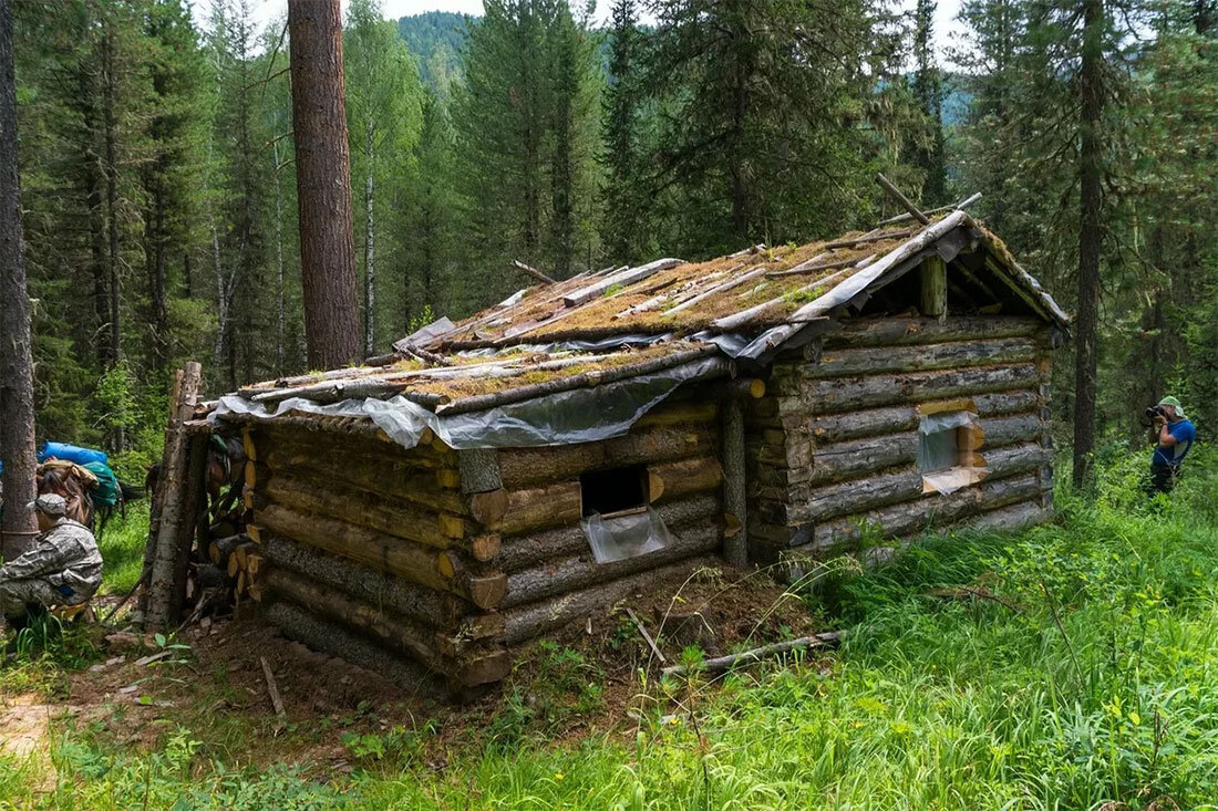 Сибирь жить в лесу. Глухая Тайга зимовье. Глухая Тайга зимовье лесника. Охотничьи зимомовья в тайге. Охотничьи заимки в сибирской тайге.