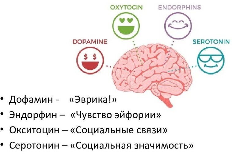Дофамин это гормон счастья фото 1