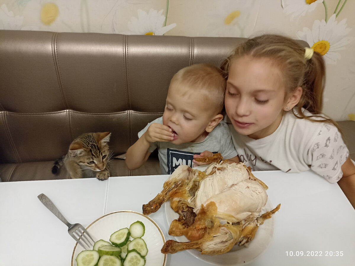Ещё один претендент на куриную грудку. 