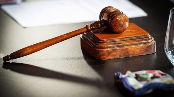   © Sputnik / Dmitry Dubinsky