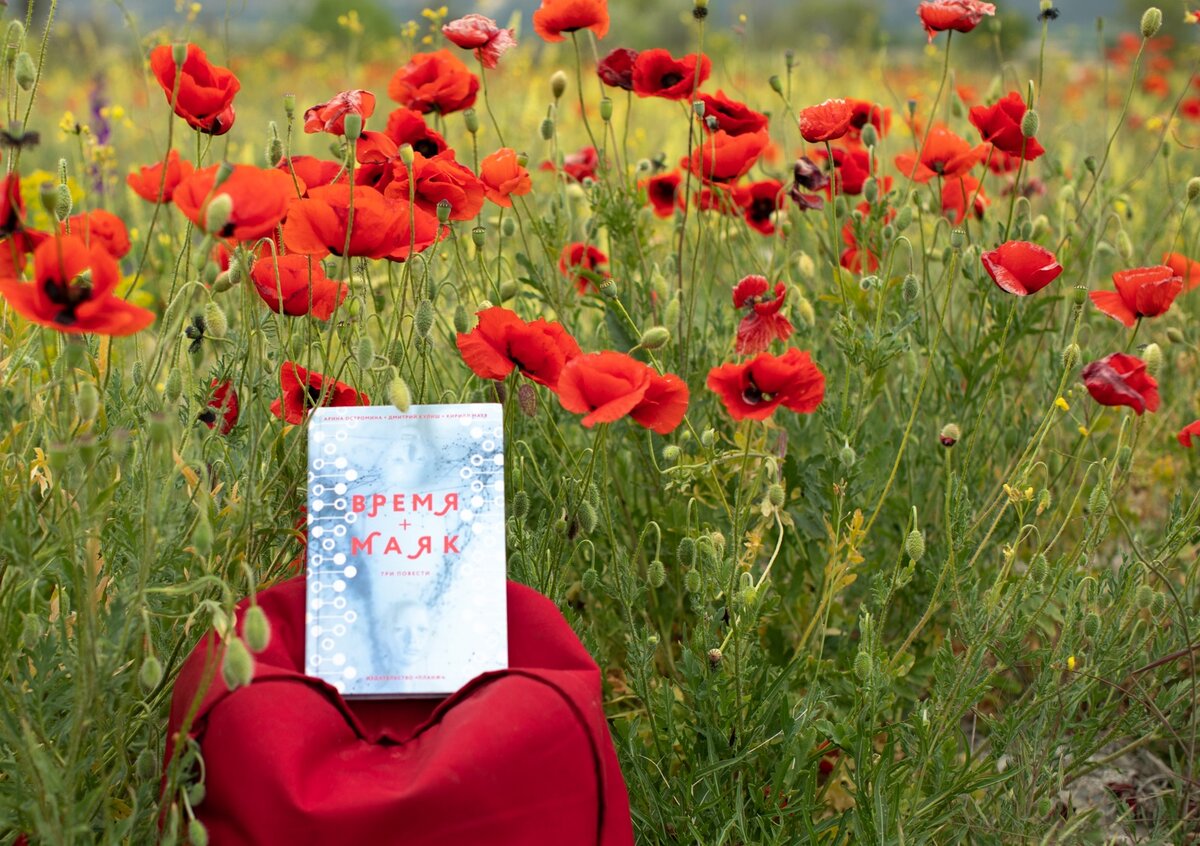 ВРЕМЯ + МАЯК: Издательство ПЛАНЖ 2022