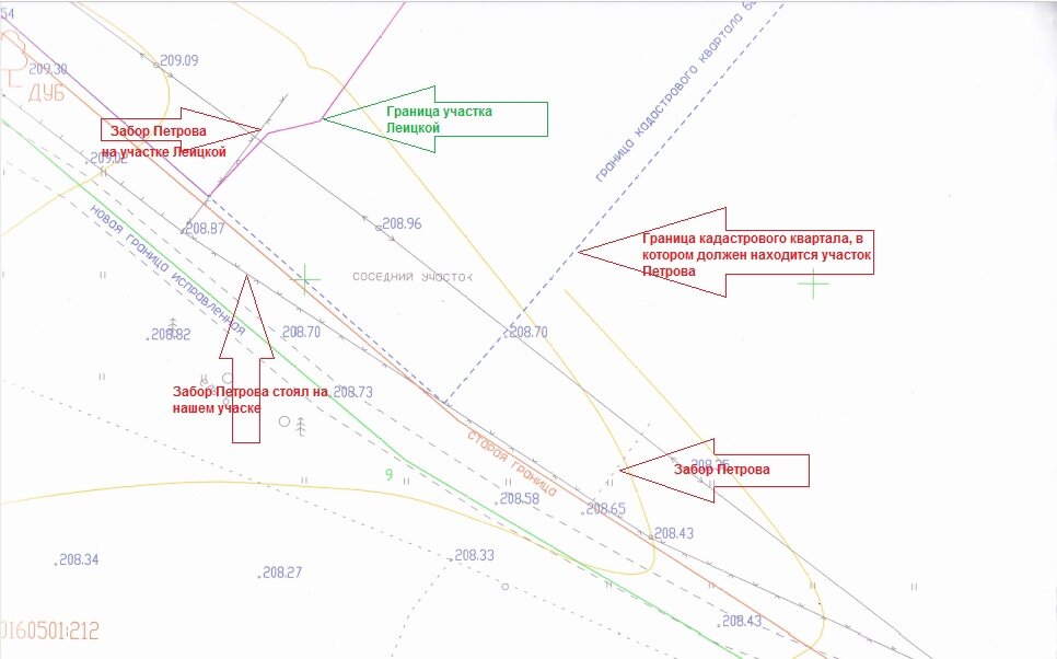 Фрагмент топографической съемки, сделанной кадастровым инженером.  Красная линия - это прежняя граница нашего участка, которую незаконно передвинул Псковский Росреестр.
