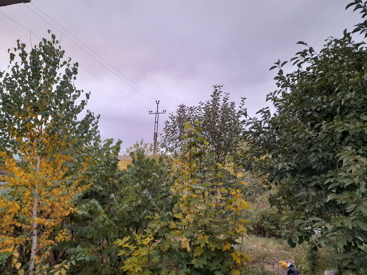 Жёлтая наша шапочка мелькает😚