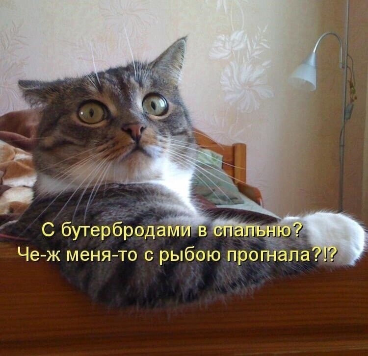 иллюстрация из яндекс картинки.