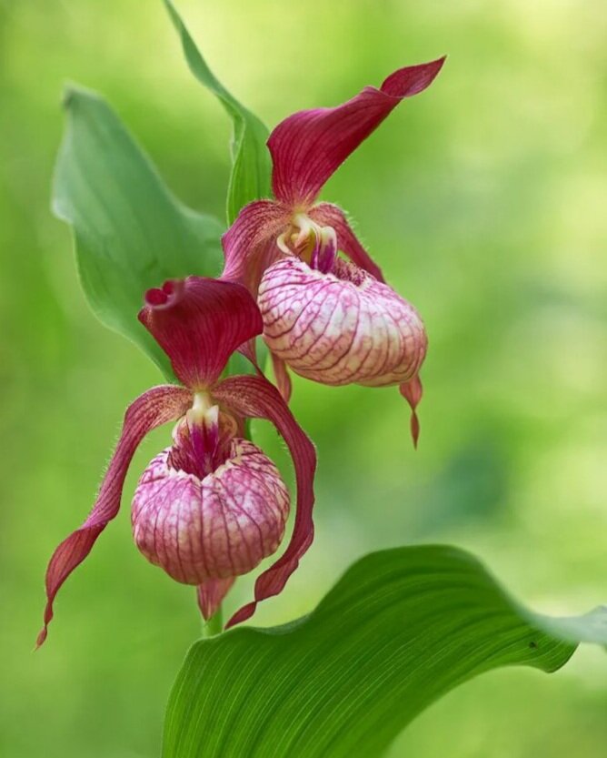 Из интернета