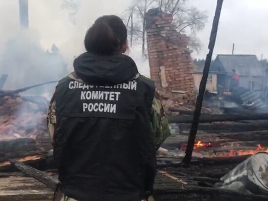     Фото пресс-служба следственного комитета по Архангельской области и НАО