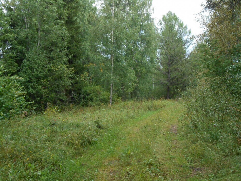 Валдайская д 1. Фото добровольцев из Валдая.