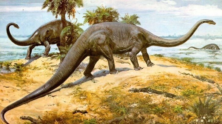 Рис. взят на https://yandex.ru/images 