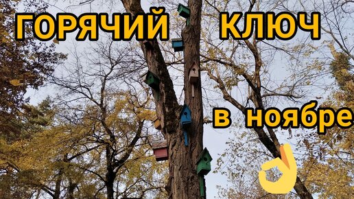 Горячий Ключ в ноябре. Обычные для сезона климатические особенности