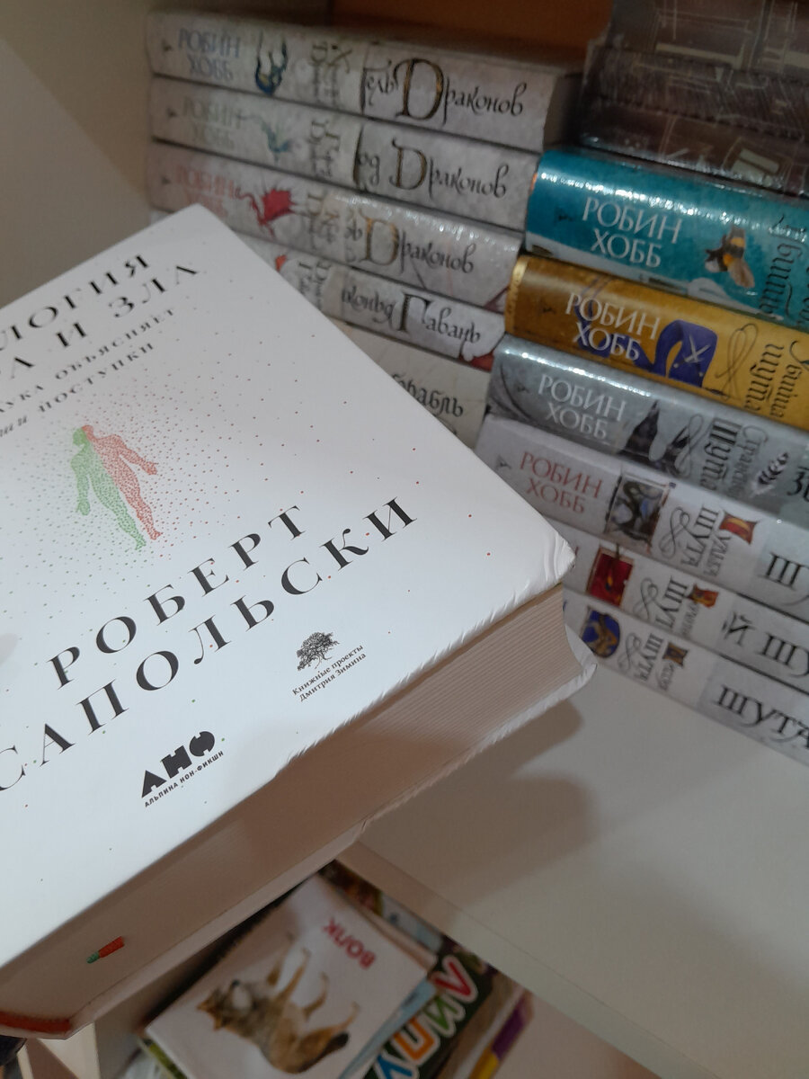 Немного помята, но это не критично