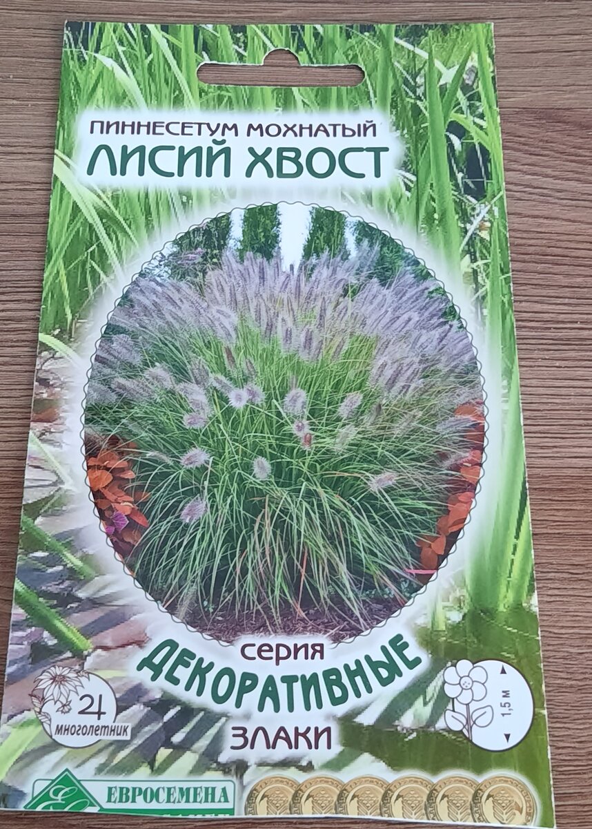 Какие декоративные злаки из семян я буду выращивать. | Вятский сад. | Дзен