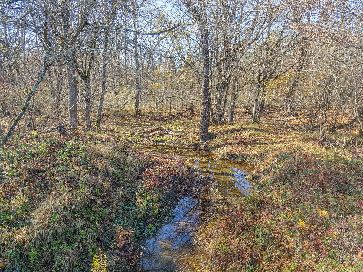 Села вперед. Село вперед. Поселок Ерик