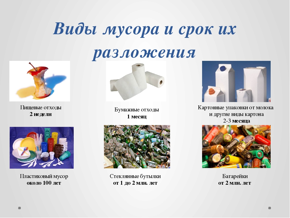 Сколько разлагаются влажные салфетки. Виды отходов. Виды бытовых отходов.