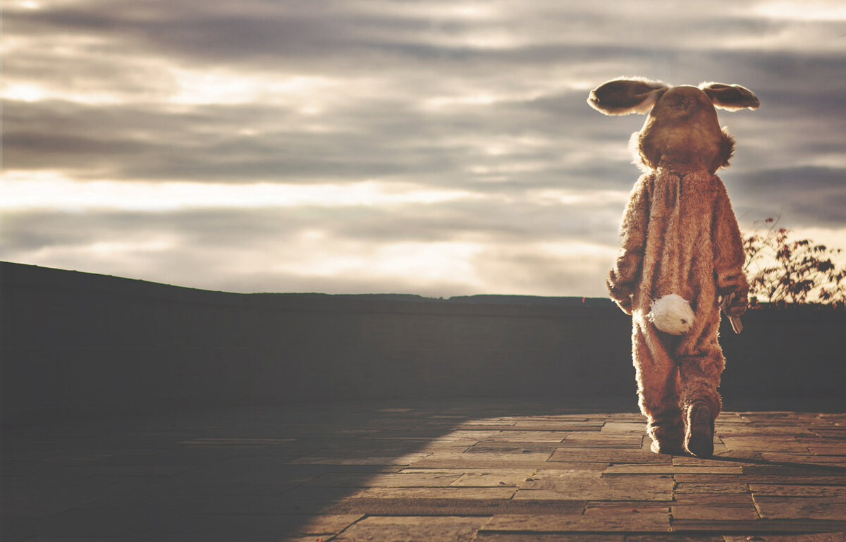 Фото pixabay.com