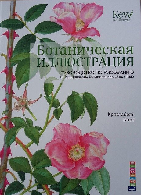 Обложка издания 2017 года, издательская группа "Контент"