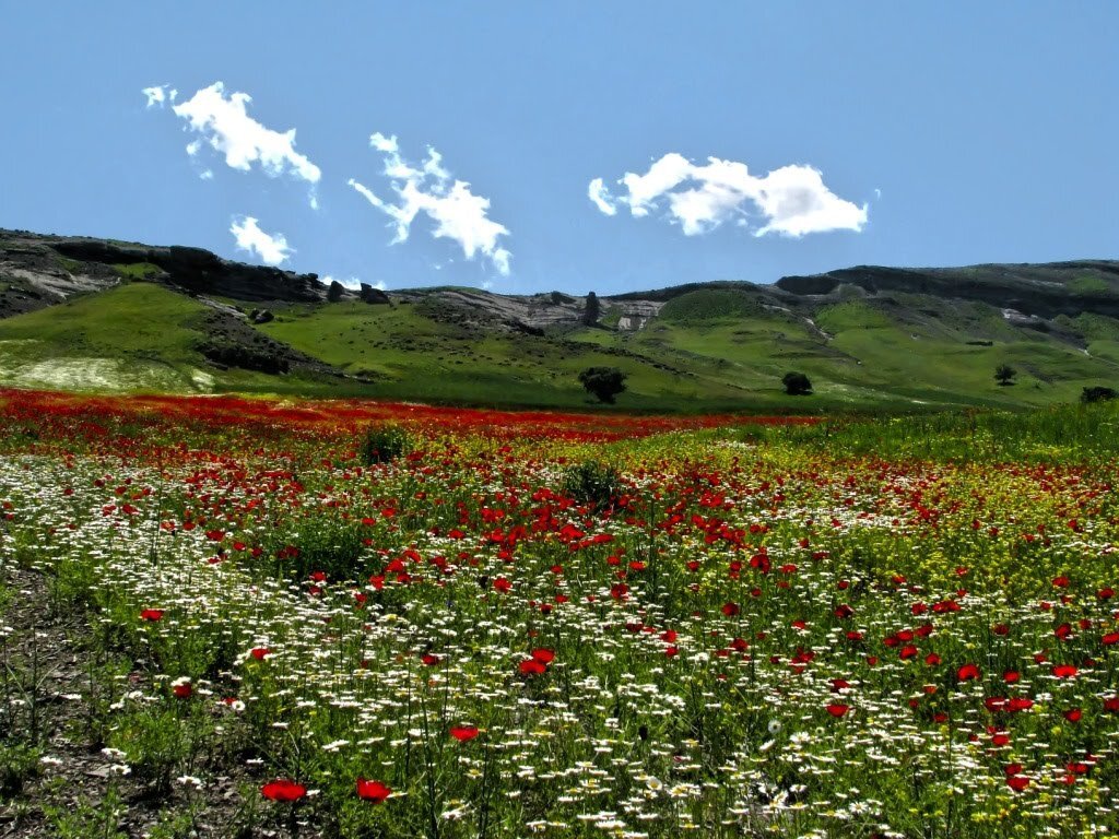 Природа азербайджана фото