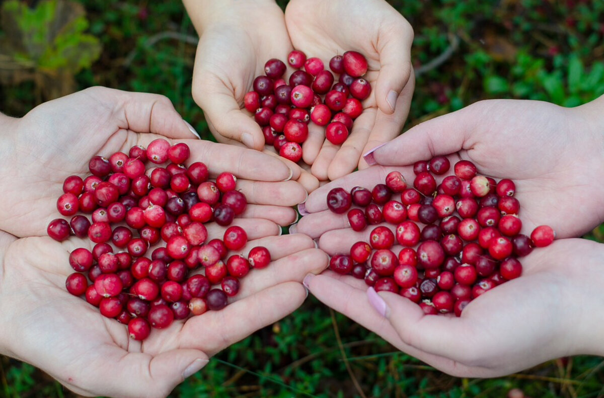 Фото pixabay.com