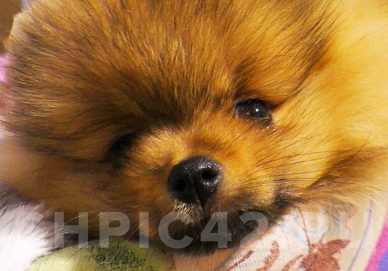 Фото: shpic42.ru