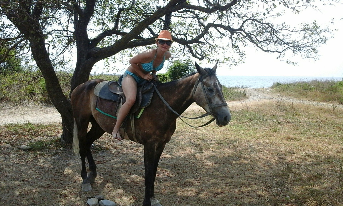 Мой верный конь