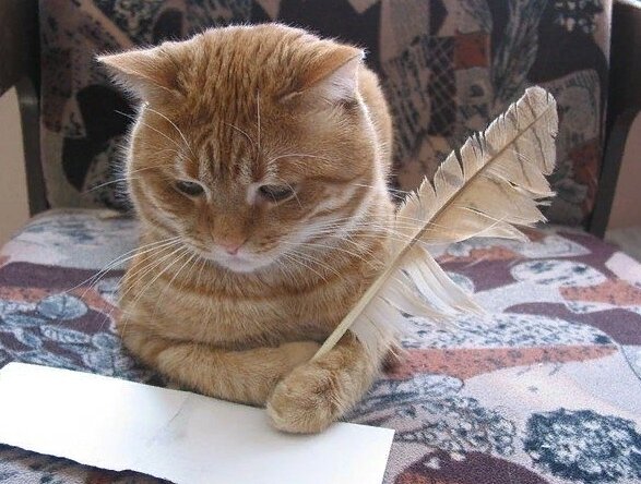 Фото: соцсети