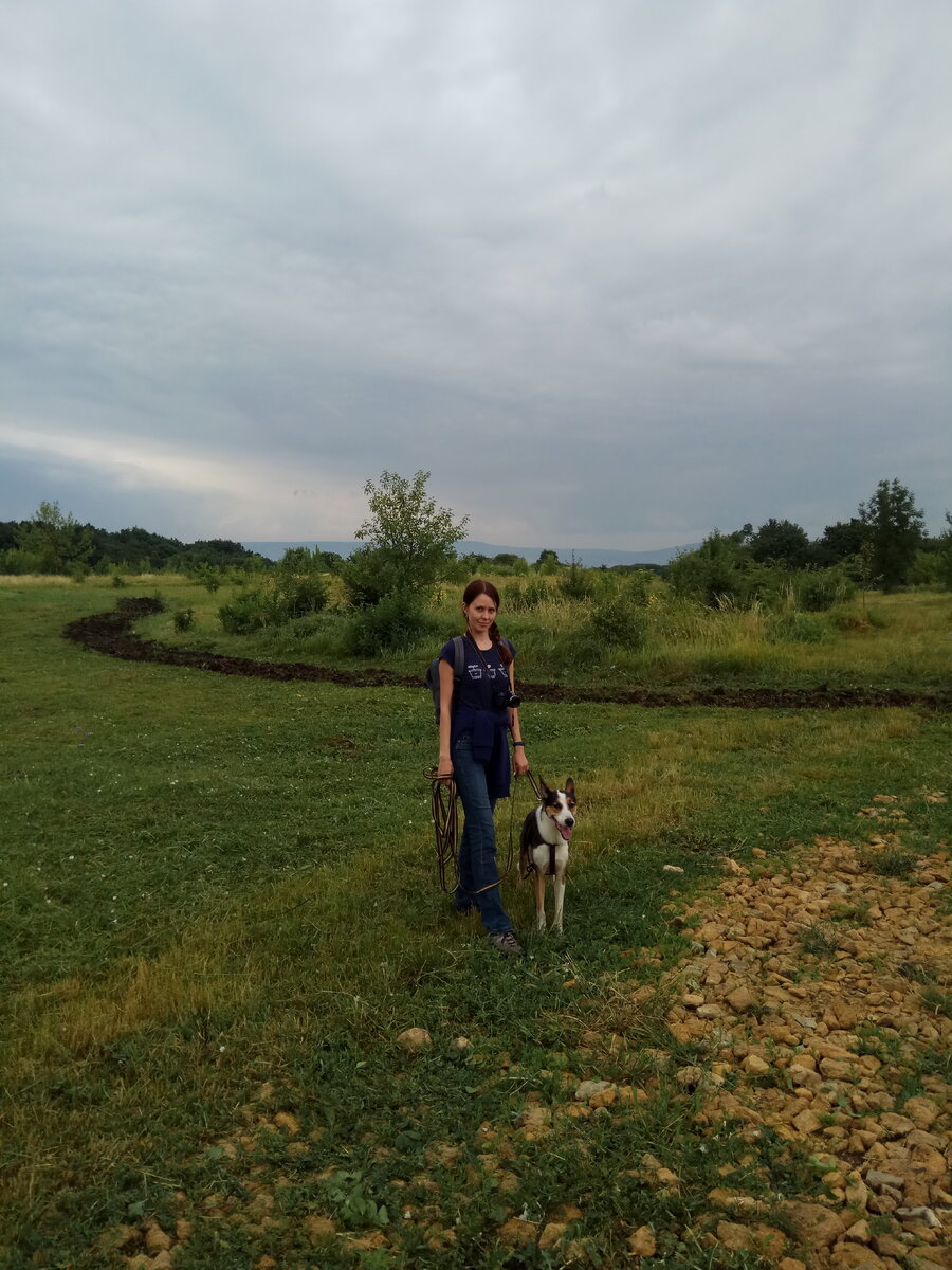 Гуляли в Татарском лесу в городе Ставрополь