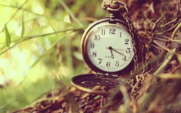 The second hand is really the third hand on a clock, which has no first hand. Предлагаю конкурс на лучший перевод этой фразы. Ну или хотя бы попробуйте объяснить, как вы это поняли, в комментариях