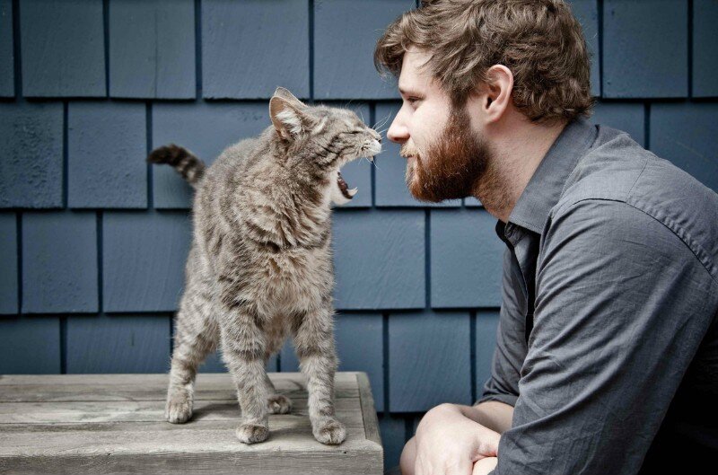 Многие предпочитают игнорировать негативные отзывы, но это ошибка