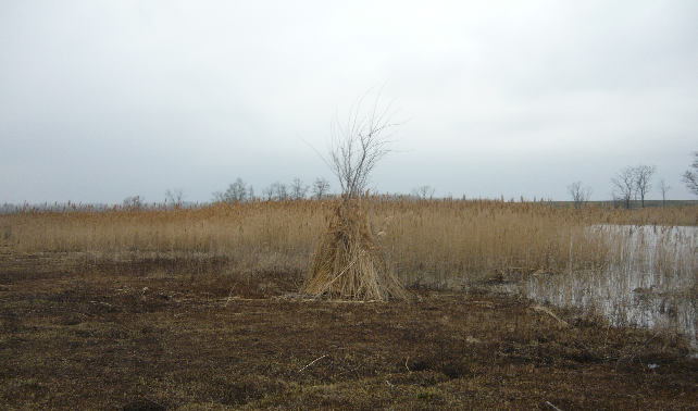 Скрадок на весенней охоте с подсадной.