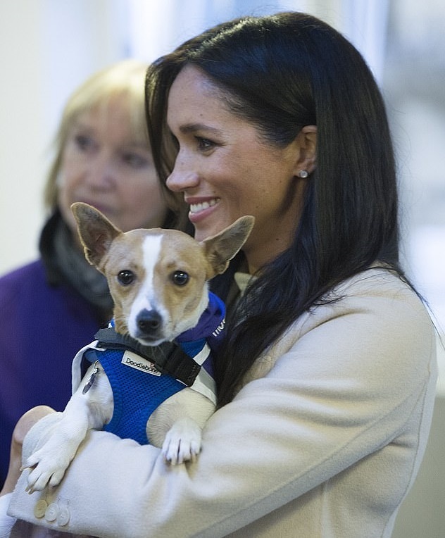 фото: www.dailymail.co.uk