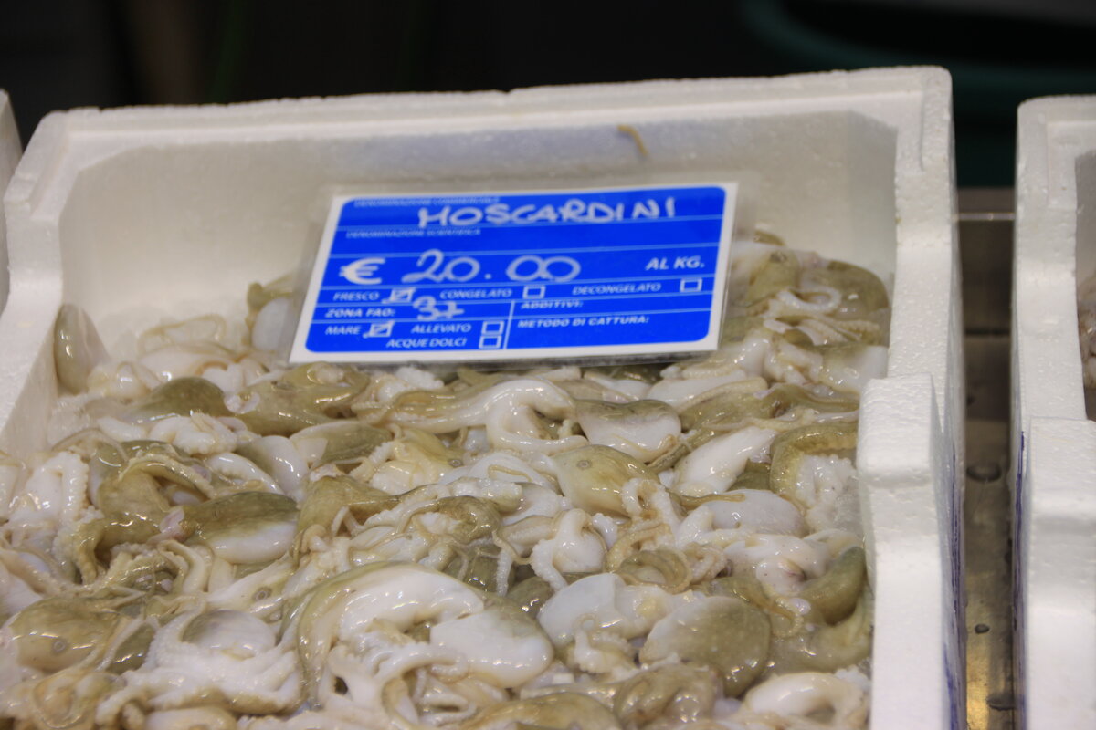 Что продают на рыбном рынке в Риме