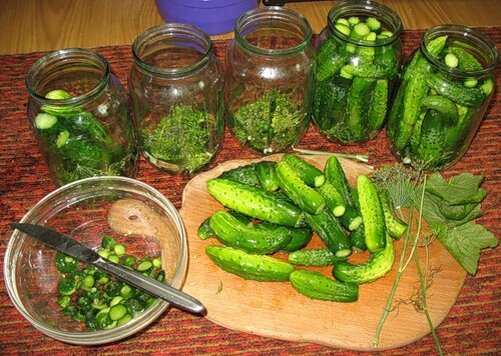 Рецепт засол вкусно Дом Семья огород Совет дача приготовление Ингредиент огурцы 