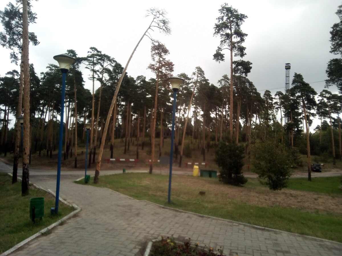 Моховые горы бор парк