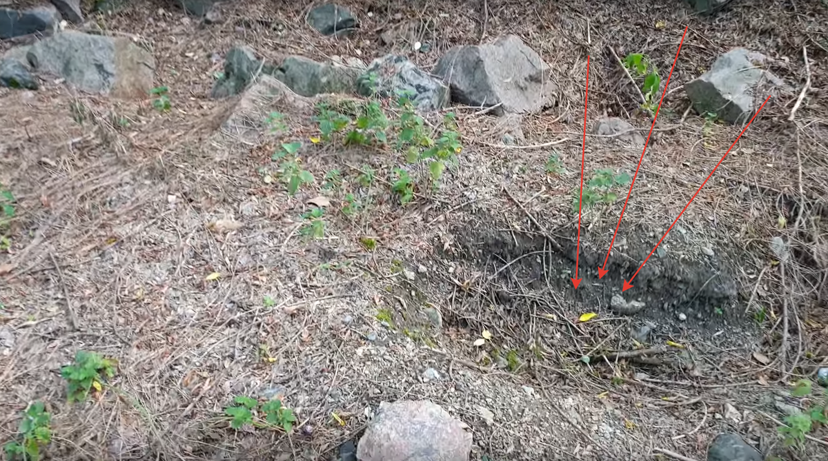 Место забора пробы грунта другими старателями.