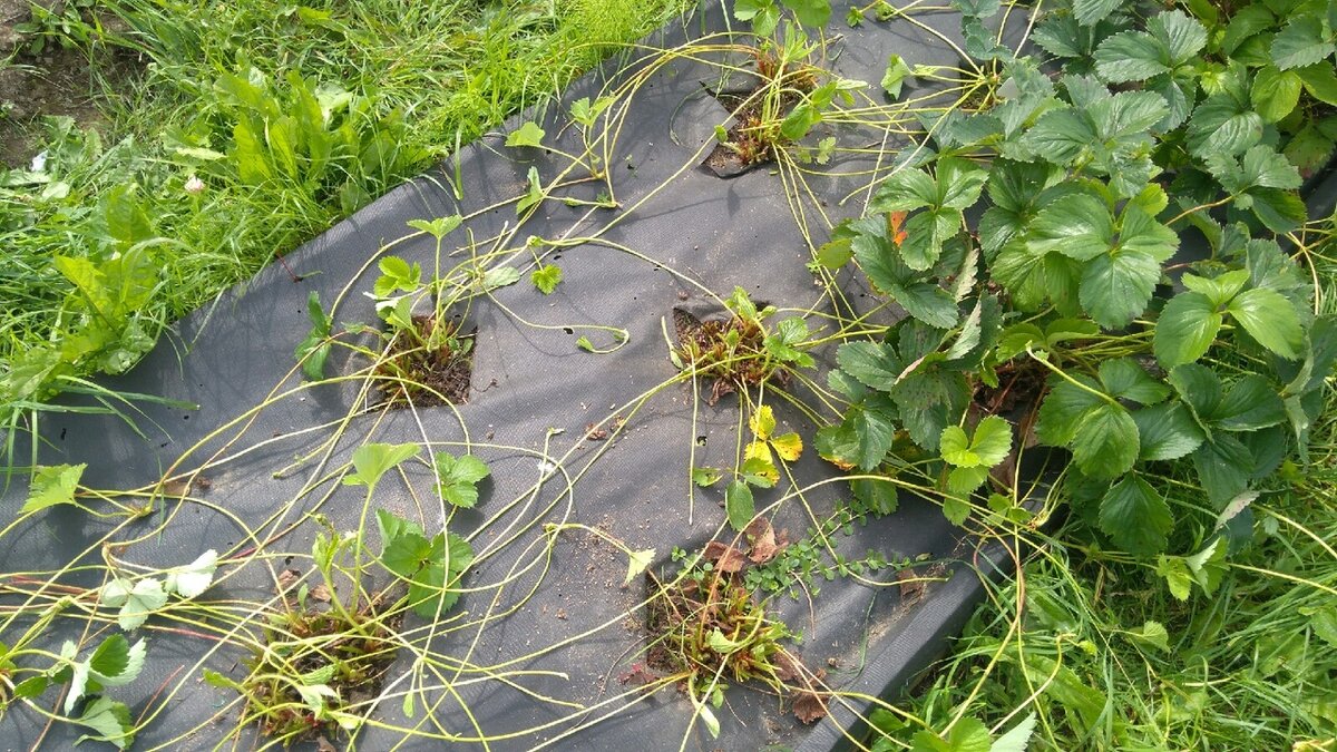 Источник: фото автора