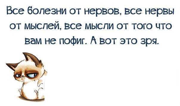 Шикарная фраза!
