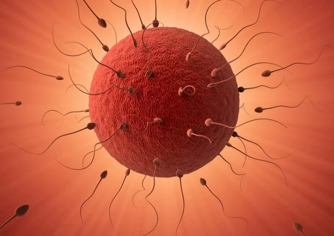 изображение из открытого источника