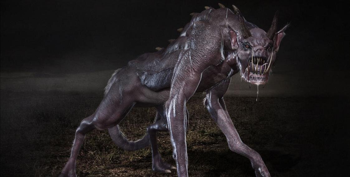 Чупакабра / Robert Borashan