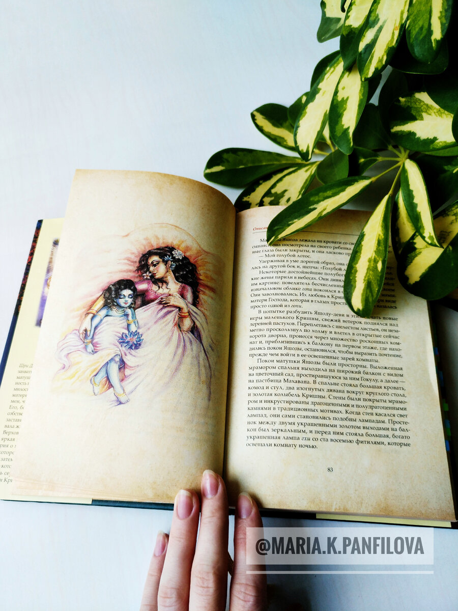 Шри Дамодара Джанани