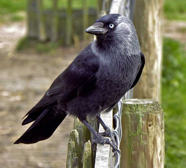 Источник фото: bruehl-beurbarung.de