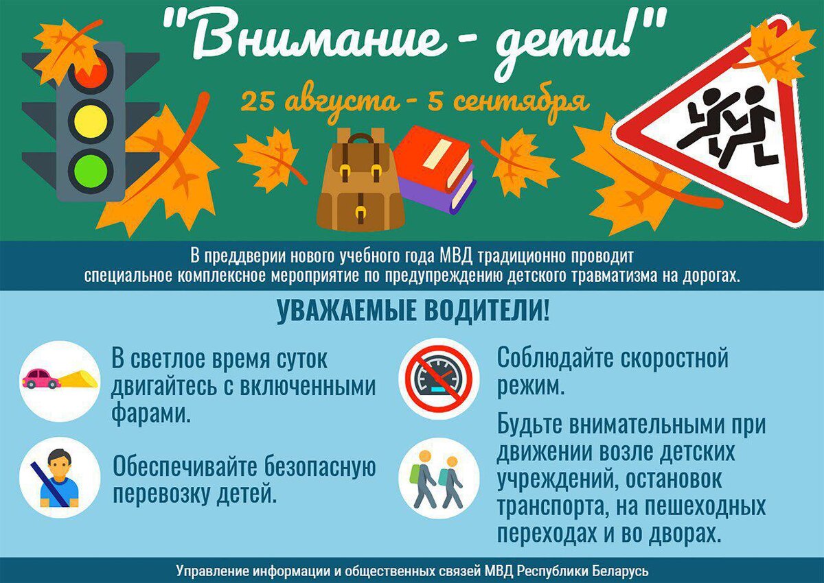 Инфографика МВД