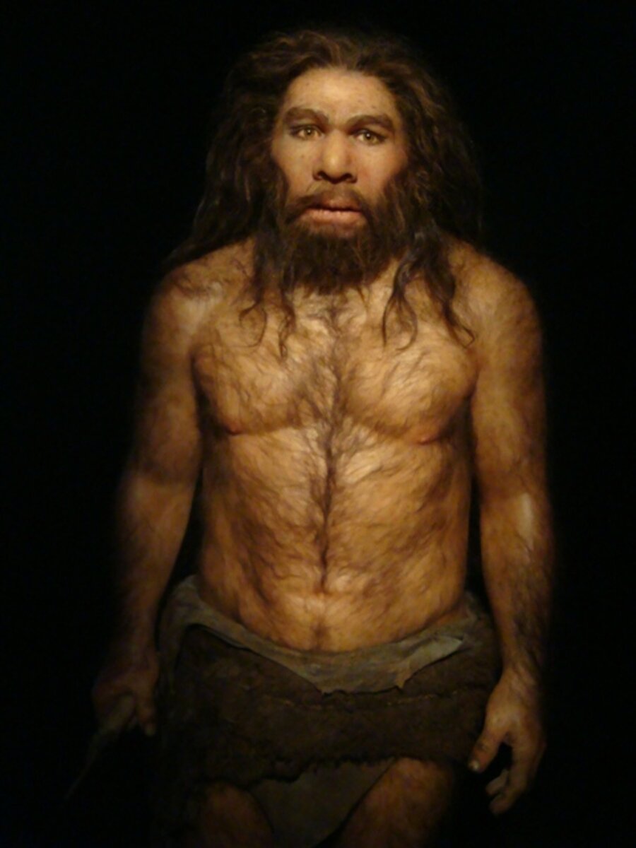 Неандерталец 2. Неандерталец (homo Neanderthalensis). Хомо сапиенс Денисовский человек неандерталец. Неандерталец и кроманьонец Денисовский человек. Кроманьонец неандерталец сапиенс сапиенс.