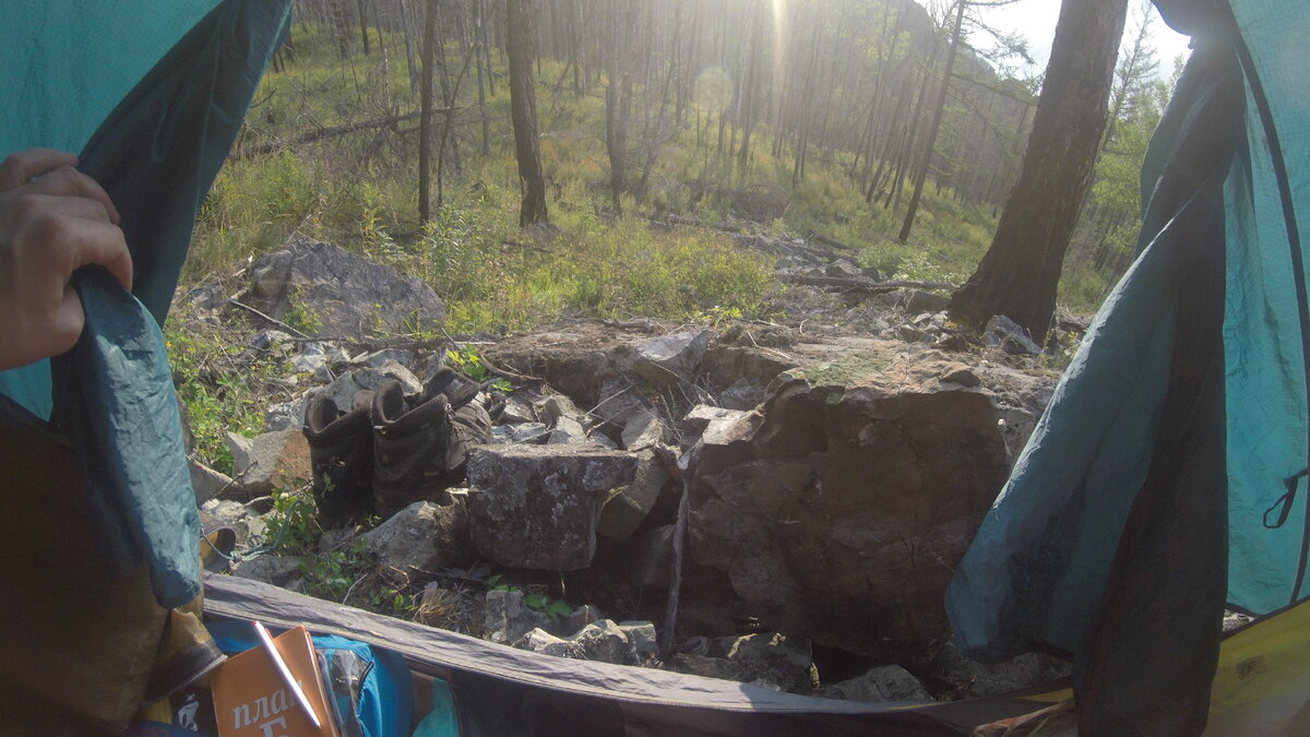 Утренний вид из палатки