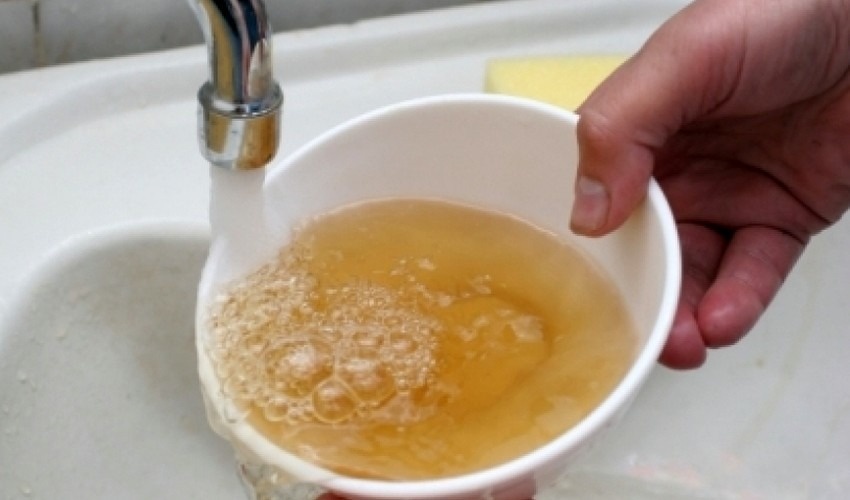 Фото: архив