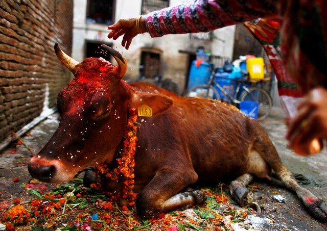 Все фото взяты из открытых источников и принадлежат их правообладателям