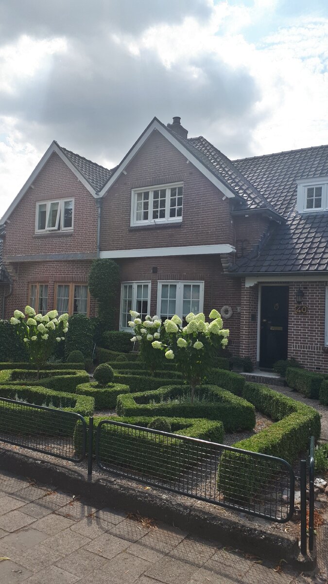 Просто частный дом - а какая изысканная живая изгородь!