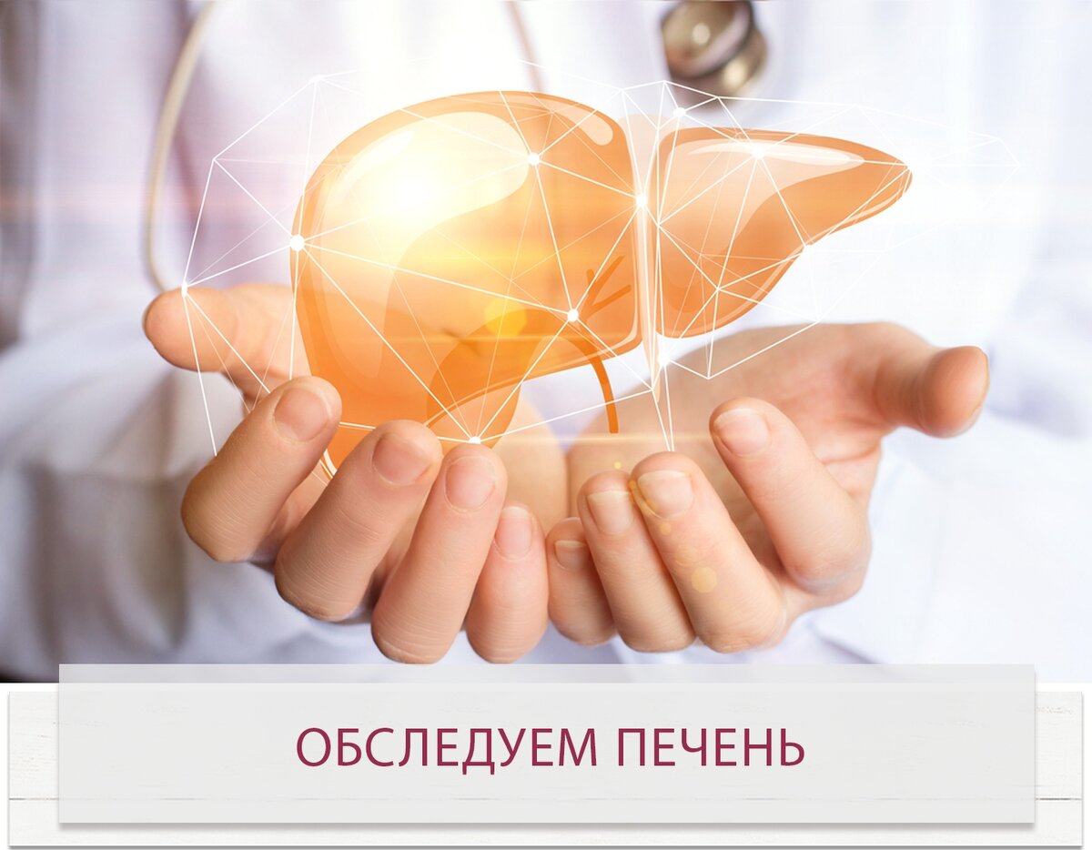 Школа здорового питания Ольги Шестаковой