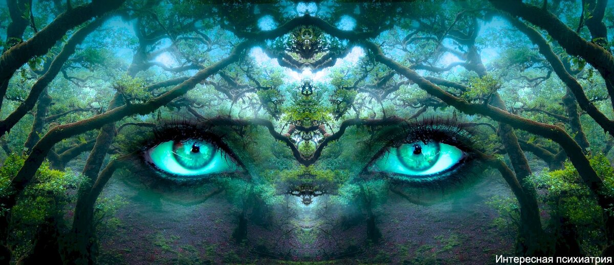 Изображение Stefan Keller с сайта Pixabay