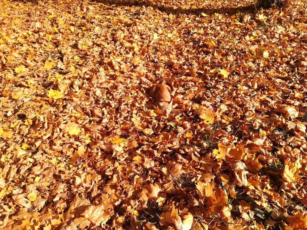 Фото автора истории. 